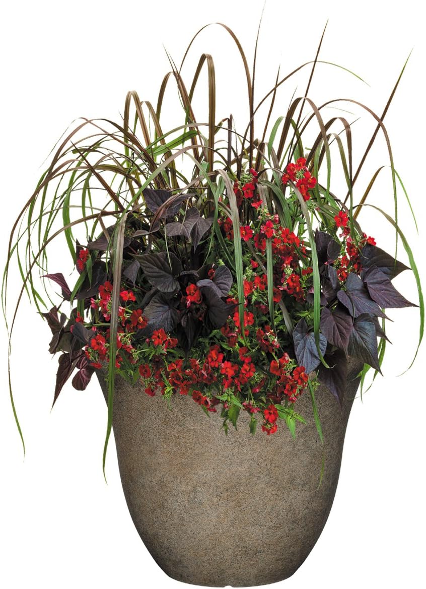 Classic Home and Garden Honeysuckle Resin Planters - Lightweight Indoor & Outdoor Plant Pots - UV-Resistant Plastic Flower Pots - Pot Planters for Flowers & Herbs (15" Distressed Copper)