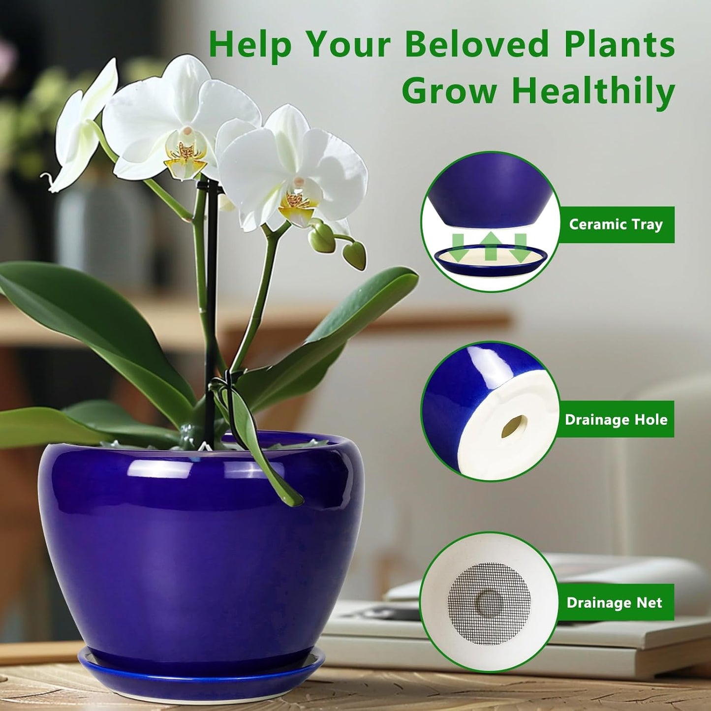 Ceramic Modern Glaze Succulent Planter Pot with Drainage Hole and Saucer 6 Inch Round Flower Plant Pot for Indoor Outdoor Herb Snake Plants