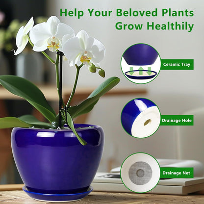 Ceramic Modern Glaze Succulent Planter Pot with Drainage Hole and Saucer 6 Inch Round Flower Plant Pot for Indoor Outdoor Herb Snake Plants