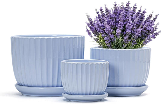 Ton Sin Pink Gold Ceramic Flower Pots, 4"+5"+6" Inch Small Glazed Succulent Planters with Drainage Hole,Modern Indoor Decorative Plant Pots Set of 3,Garden Pots with Saucer