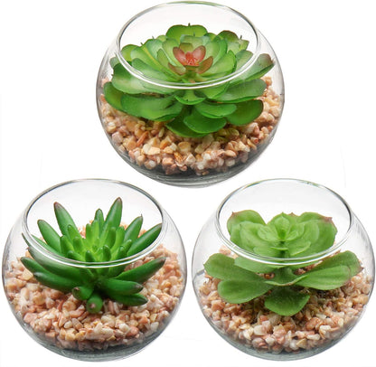 Briful Mini Fake Plants 4 Packs Succuletns Artificial Potted Plants in Cube Glass Vase Faux Succulents for Bathroom Living Room Kitchen Shelf Table Decor