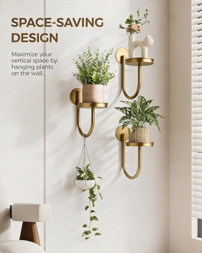 Bamworld Hanging Planters for Indoor Plants Wall Plant Holder Plant Hanger Indoor Wall Planters Window Plant Shelves Hanging Plant Holder Window Plant Hanger Plant Decor Black 3pcs