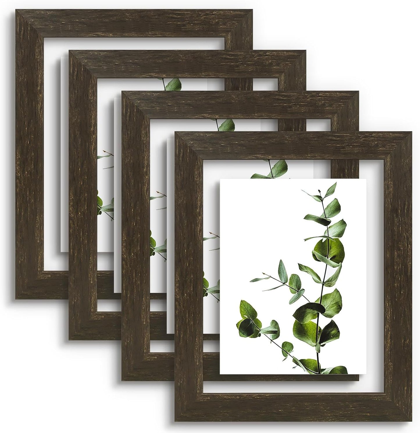 Golden State Art, 11X14 Floating Picture Frame, Black Wood Frame Display Any Size Photo Up To 11X14, Pressed Flower Frames with Hanging Hardware - Horizontal And Vertical Formats for Wall