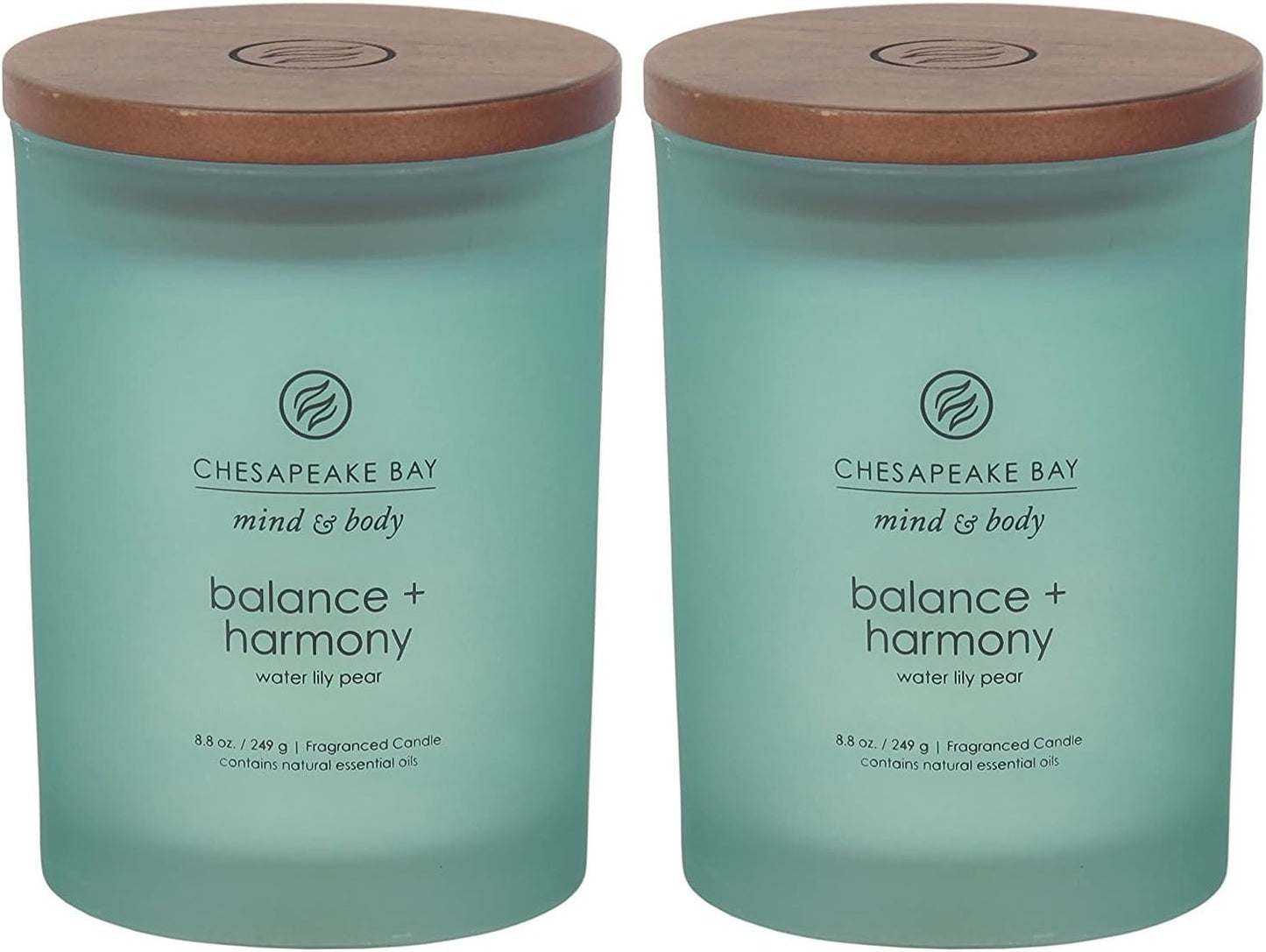 Chesapeake Bay Candle PT40886 Scented Candle Awaken + Invigorate (Lemongrass Eucalyptus) Medium Green Home Décor