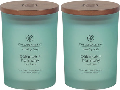 Chesapeake Bay Candle PT40886 Scented Candle Awaken + Invigorate (Lemongrass Eucalyptus) Medium Green Home Décor