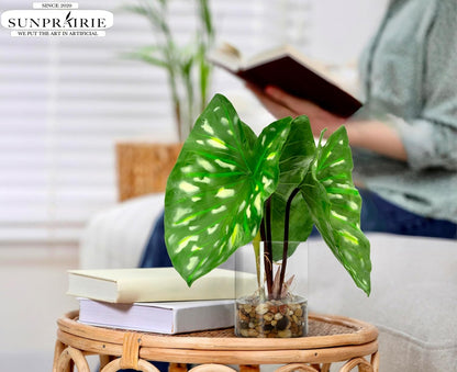 SUNPRAIRIE Realistic Faux Plant in Clear Pot with Artificial Water, Narrow Arrowhead Leaves. Artificial Plants Indoor and Outdoor