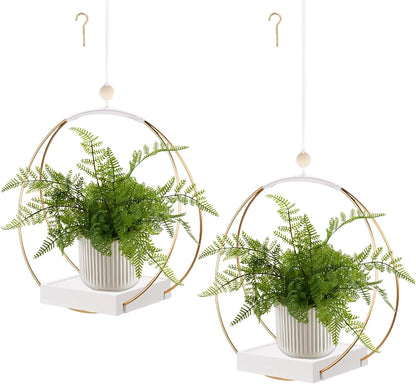 Hanging Planter for Indoor Plants, Black Plant Hanger Indoor with Sturdy Wood Base, Modern Boho Macrame Plant Hanger for 3-5.5 Inch Pot, Hanging Wall Ceiling Window Home Decor (Pots Not Included)