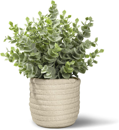 Hopewood Faux Plants, Small Fake Plant for Bathroom, Decorative Artificial Plants for Farmhouse Desk Shelf Decor with A Weave Basket (9.8inch)