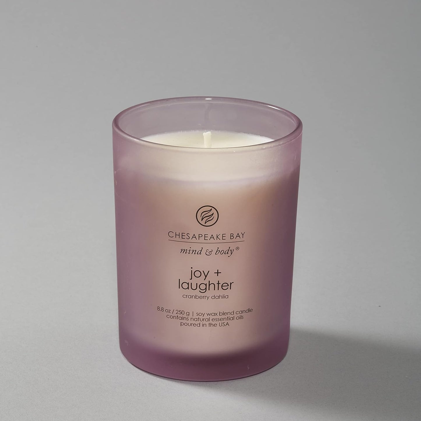 Chesapeake Bay Candle PT40886 Scented Candle Awaken + Invigorate (Lemongrass Eucalyptus) Medium Green Home Décor