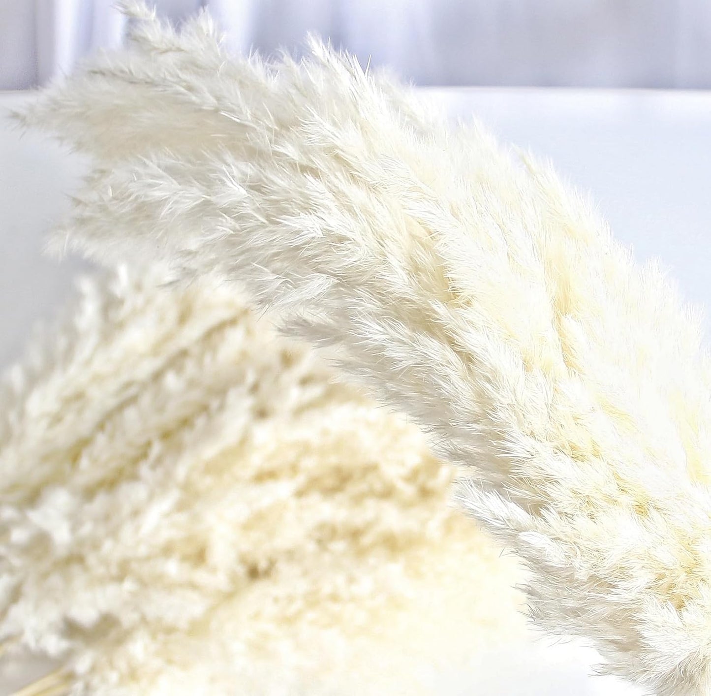 Pampas Grass Decor, Natural Dry Pampas Grass Small, Short Pampass Bulk for Farmhouse, Wall, Kitchen, Bedroom Decor, Office Decor (17 inch )