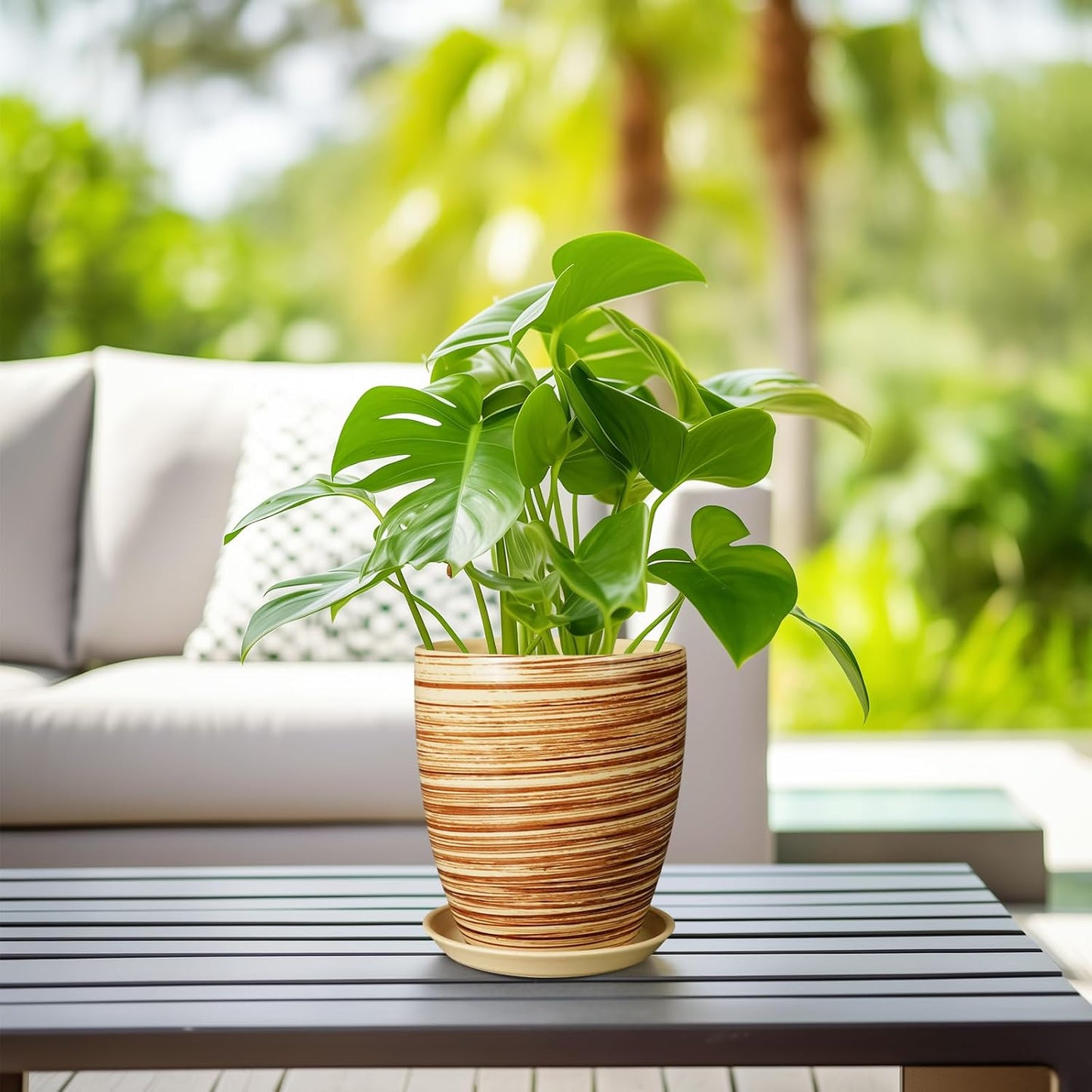 Ceramic Pots for Plants - 6 Inch Plant Pot with Drainage Hole and Saucer, Round Planters for Indoor Outdoor, Flower Pots, Modern Planter, Home Office Room Decor, Gifts for Plant Lovers, White