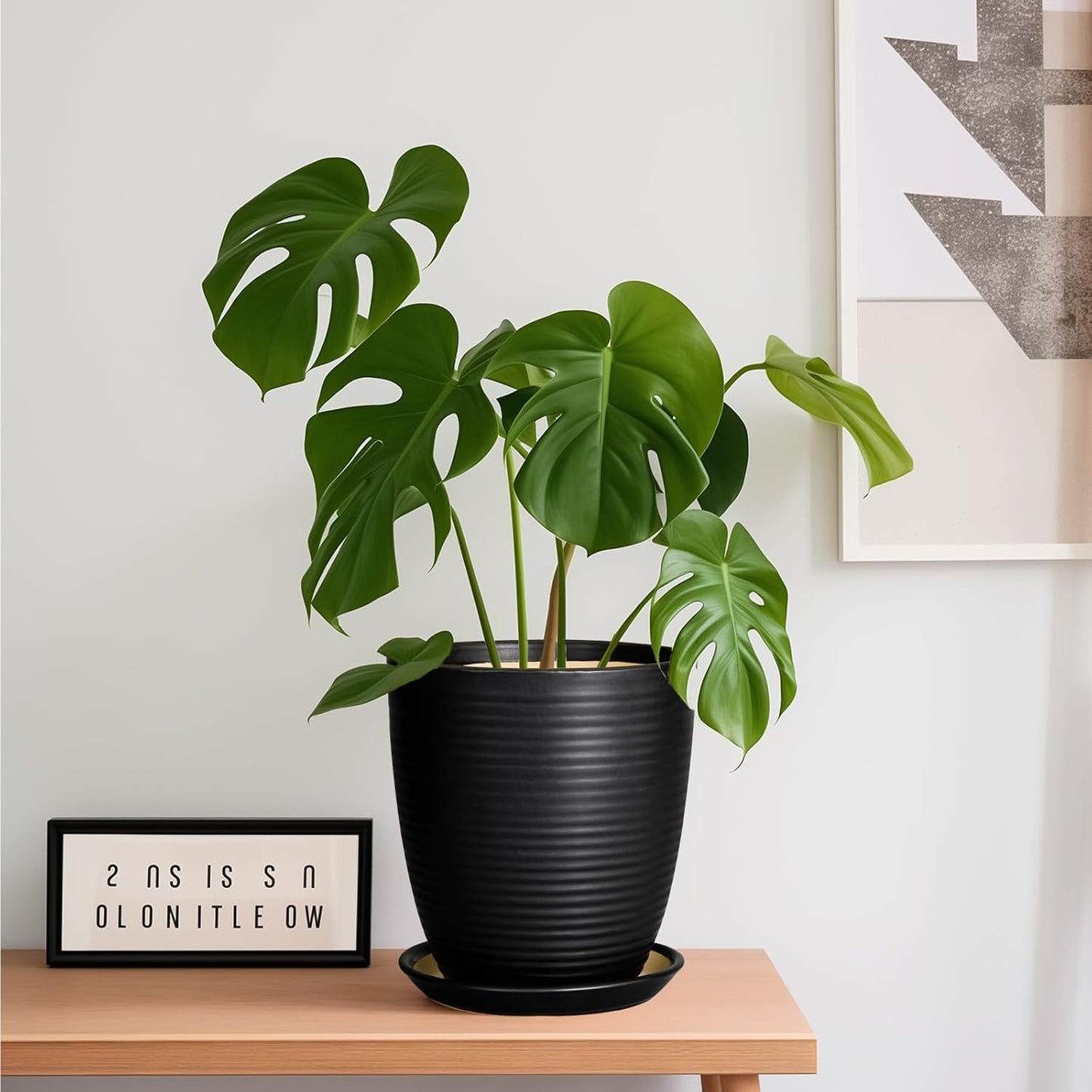 Ceramic Pots for Plants - 6 Inch Plant Pot with Drainage Hole and Saucer, Round Planters for Indoor Outdoor, Flower Pots, Modern Planter, Home Office Room Decor, Gifts for Plant Lovers, White
