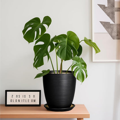 Ceramic Pots for Plants - 6 Inch Plant Pot with Drainage Hole and Saucer, Round Planters for Indoor Outdoor, Flower Pots, Modern Planter, Home Office Room Decor, Gifts for Plant Lovers, White