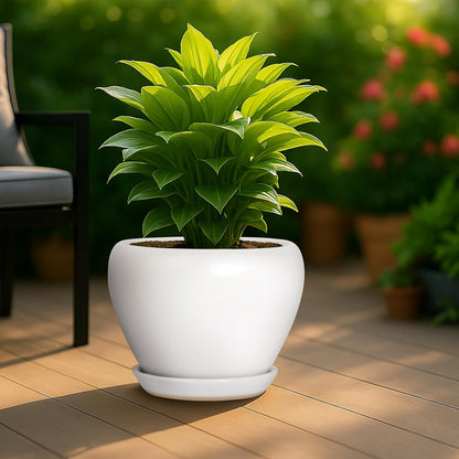 Deep Dream 6 Inch Plant Pots- Ceramic Planter Pot with Drainage Hole and Saucer, Round Flower Pot for Indoor Outdoor Succulent, Snake Plants and Cactus, Blue