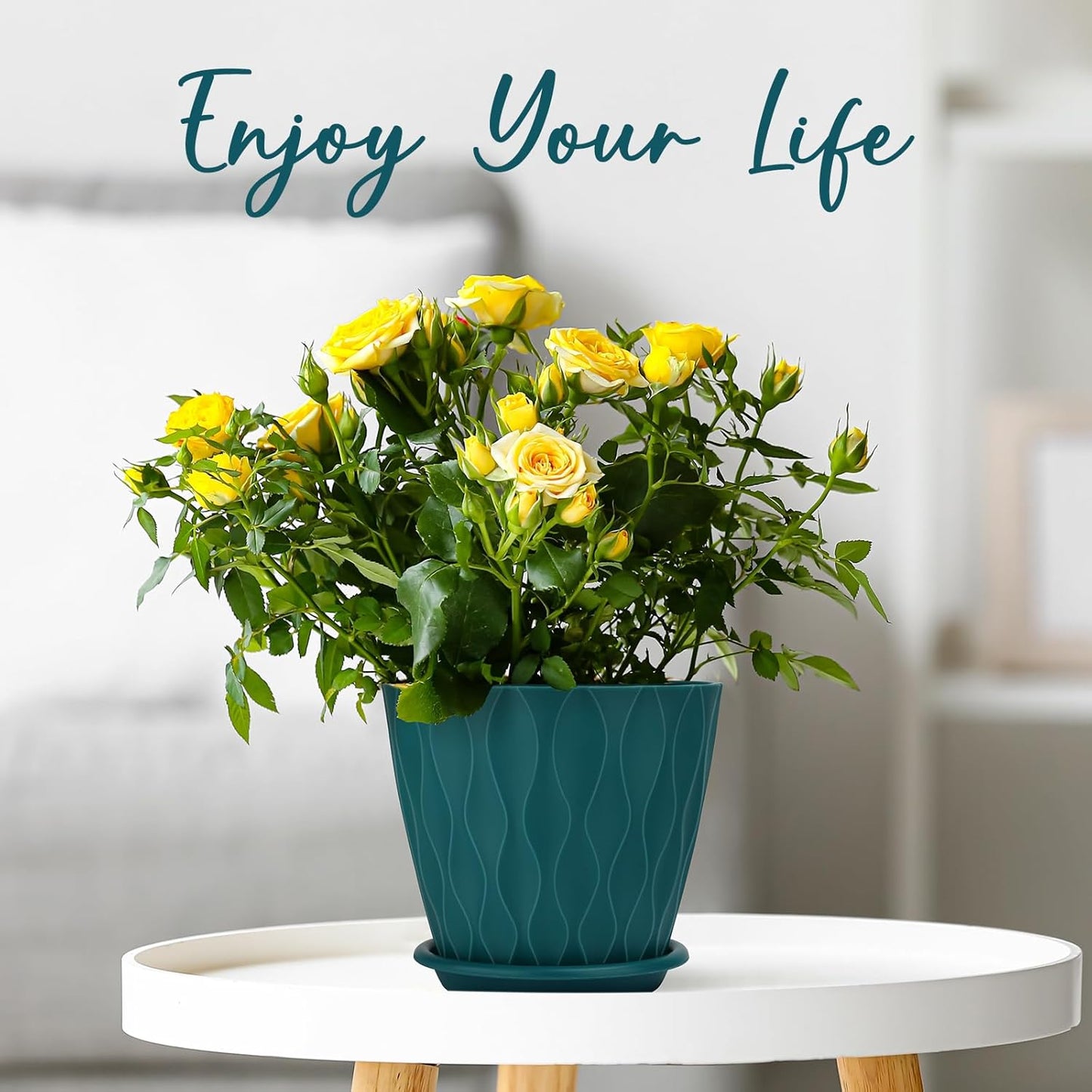 YNNICO 6 inch Plant Pots, 5 Pack Flower Pots Outdoor Indoor, Planters with Drainage Holes and Tray Saucers（Multicolor）