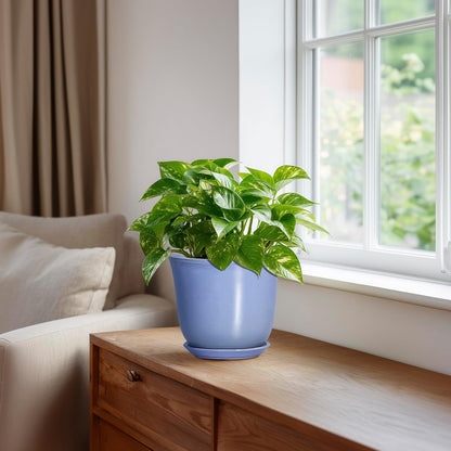 Ceramic Plant Pots - 12 Inch Pots for Plants Indoor Outdoor, Large Round Planter with Drainage Hole and Saucer, Modern Decorative Flower Pot, Home Garden Decor, House Warming Gifts, Blue