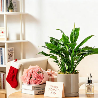vancasso Ceramic Plant Pots, 3 Piece Planters for Indoor Plants, 4.25+5.25+6.25 Inch Flower Pots with Drainage, Plant Pots Indoor for Succulent, Pothos, Snake Plant and Money Tree, Etc (White)