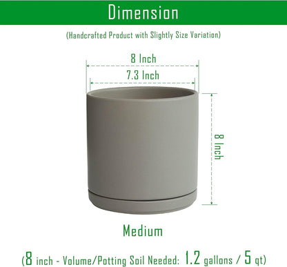 D'vine Dev Set of 2 Plants Pots, 6.5 Inch Ceramic Planter Pot for Plants with Drainage Hole and Saucer, White, 94-V-C-1