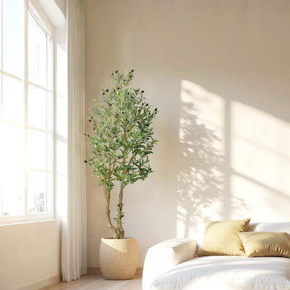 HZXGCP 6ft Artificial Olive Tree Indoor, Fake Olive Tree with White Pot, Faux Olive Tree with Dense Leaves & Realistic Fruits, Tall Artificial Plant for Home Living Room Office Entryway Decor