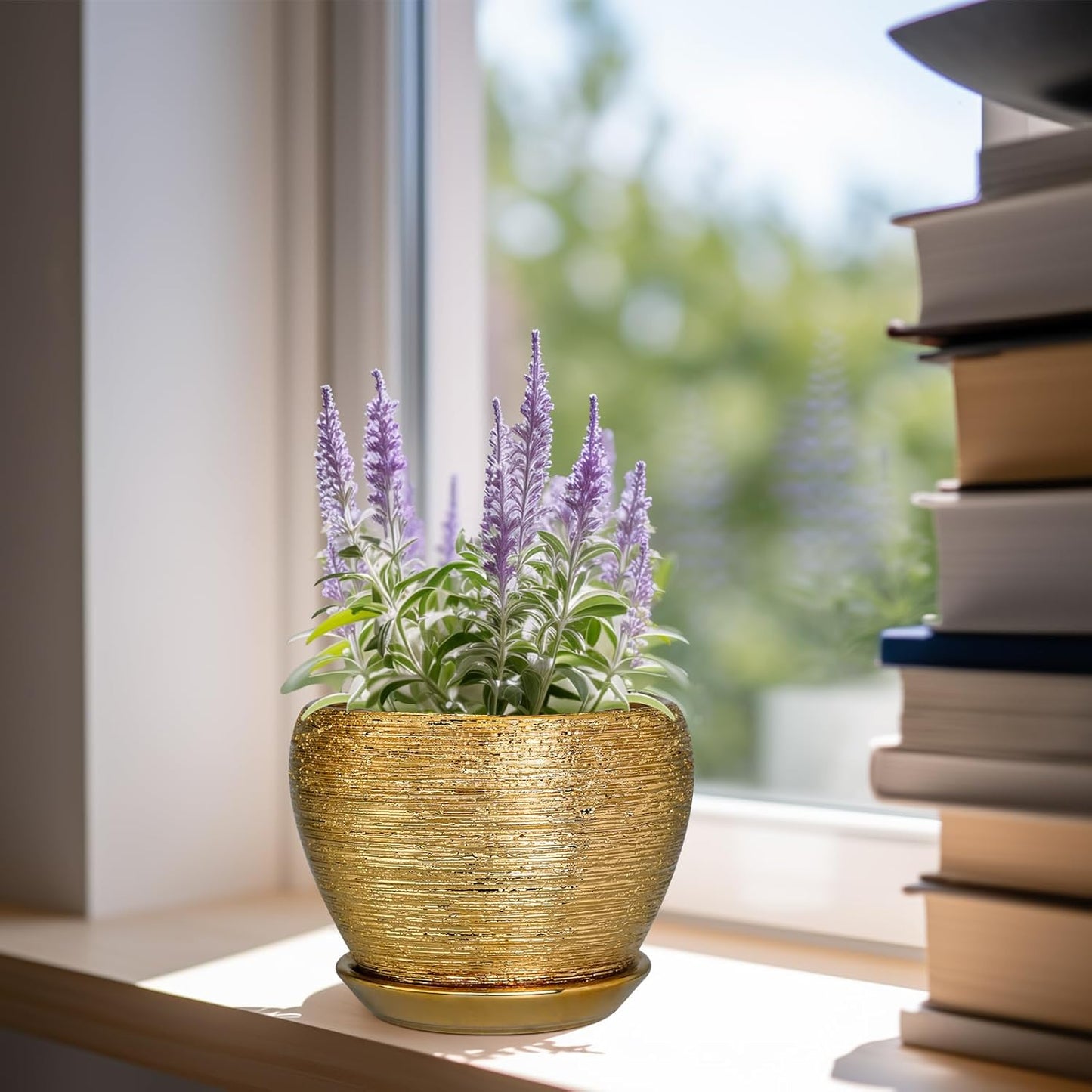 Ceramic Modern Glaze Succulent Planter Pot with Drainage Hole and Saucer 6 Inch Round Flower Plant Pot for Indoor Outdoor Herb Snake Plants