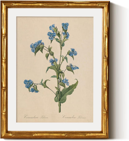 InSimSea Gold Bamboo Framed Canvas Wall Art, Retro Blue Hydrangea Botanical Prints, Antique Flowers Picture Frame with Mat, Victorian Home Wall Decor for Kitchen Living Room Bedroom, 11x14inch