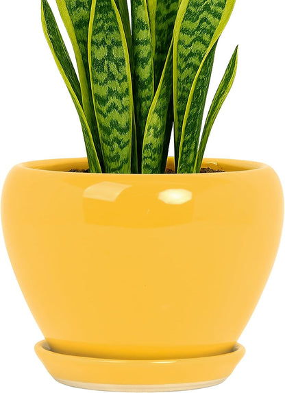 Deep Dream 6 Inch Plant Pots- Ceramic Planter Pot with Drainage Hole and Saucer, Round Flower Pot for Indoor Outdoor Succulent, Snake Plants and Cactus, Blue