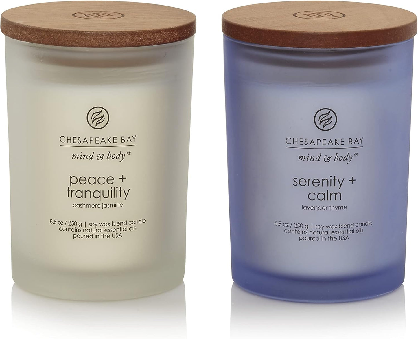 Chesapeake Bay Candle PT40886 Scented Candle Awaken + Invigorate (Lemongrass Eucalyptus) Medium Green Home Décor