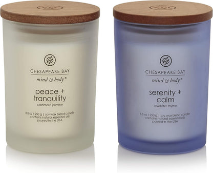 Chesapeake Bay Candle PT40886 Scented Candle Awaken + Invigorate (Lemongrass Eucalyptus) Medium Green Home Décor