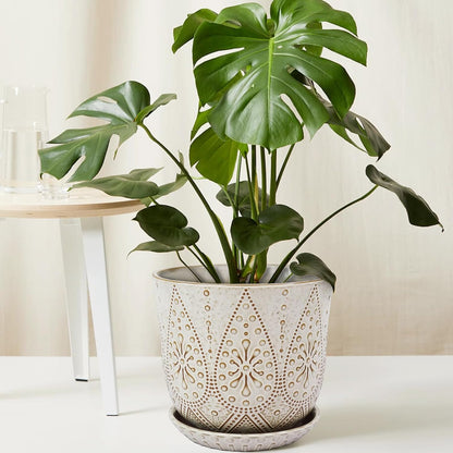 Gepege 6 Inch Beaded Ceramic Planter Set of 2 with Drainage Hole and Saucer for Plants, Indoor-Outdoor Large Round Succulent Orchid Flower Pot (Smoked Gray, Inner-pots not Larger Than 5 Inch)