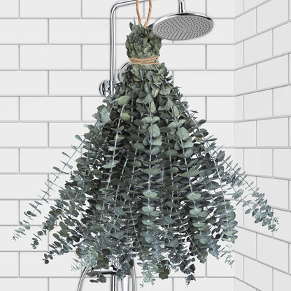 11 PCS Real Dried Eucalyptus Stem for Shower & Bathroom Decor - 17'' Large Natural Fresh Eucalyptus Leaves Hanging Plants, Shower Stuff Green Home Vase Decor, DIY
