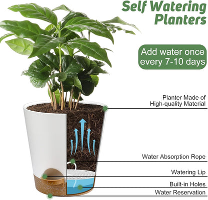 YNNICO Indoor Self Watering Planters with Drainage Holes and Saucers, 8, 7, 6.5, 6, 5.5, 5 Inches, Black, 6 Pots