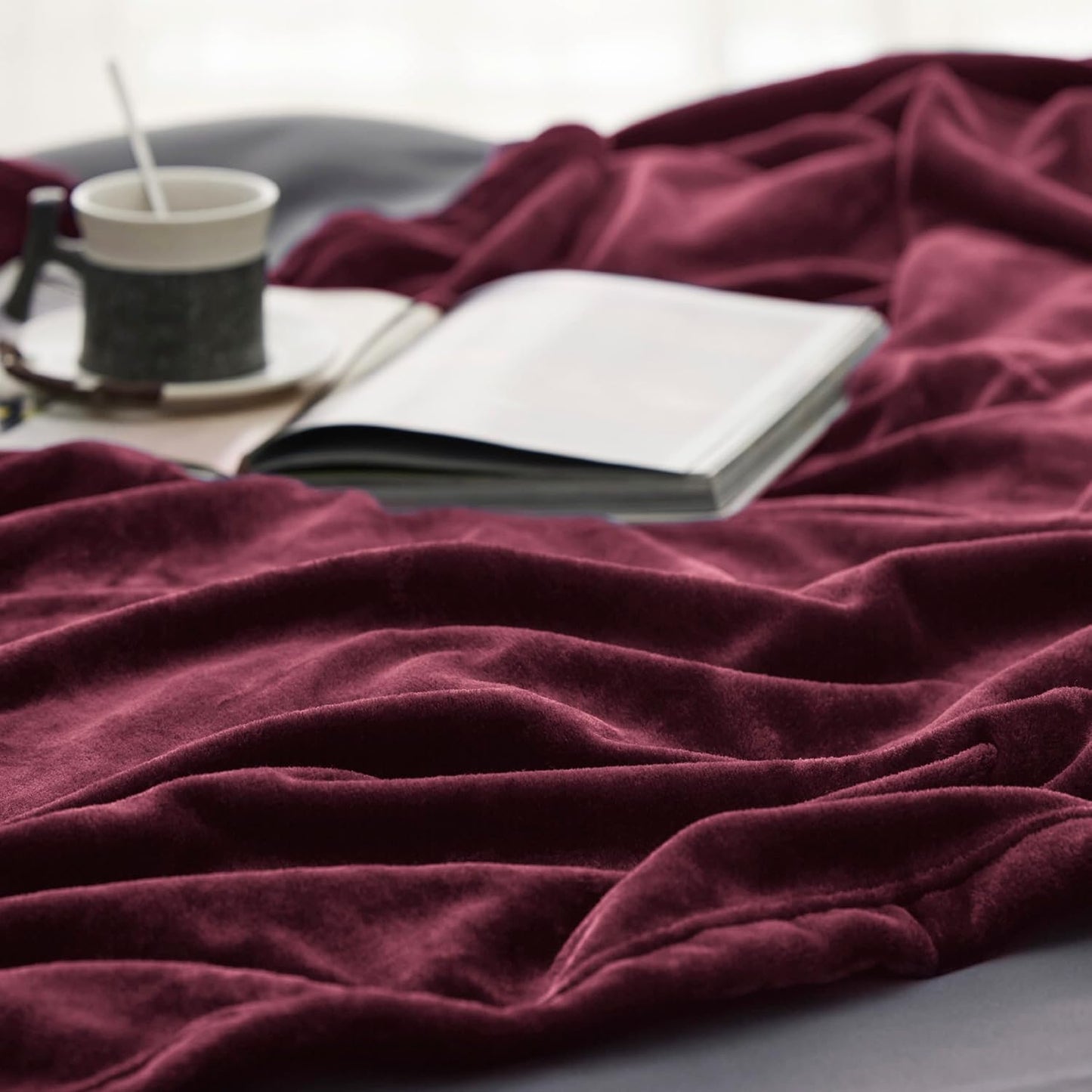 Bedsure GentleSoft Fleece Throw Blanket for Couch Grey - Lightweight Plush Fuzzy Cozy Soft Blankets and Throws for Sofa, Couch, Travel, Camping, 50x60 inches - Colors B