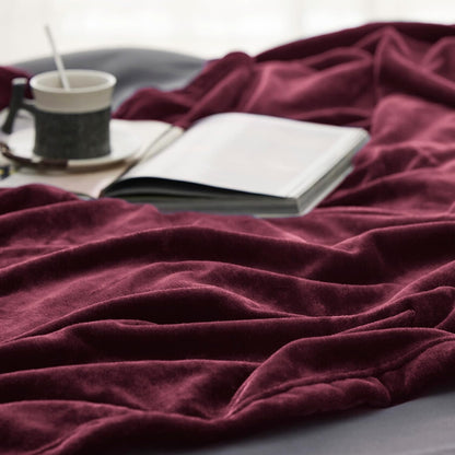 Bedsure GentleSoft Fleece Throw Blanket for Couch Grey - Lightweight Plush Fuzzy Cozy Soft Blankets and Throws for Sofa, Couch, Travel, Camping, 50x60 inches - Colors B
