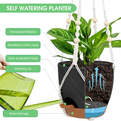 Vanslogreen Hanging Planters for Indoor Outdoor Plants, 2 Pack Self Watering Hanging Pot with Drainage Holes & Removable Tray (Black, 8'')