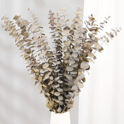 Tavkite 16 Pcs Dried Eucalyptus Stems, 17'' Natural Fresh Eucalyptus Leaves Branches Hanging for Shower, Preserved Real Plant Live Greenery for Home SPA Wall Bathroom Wedding Party Vase Decor