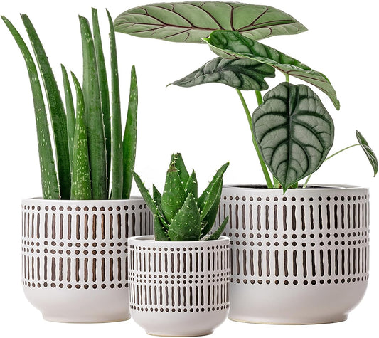 Docrin 3-Pack Ceramic Planters Set - 6.5"+5.3"+4" Dual-Tone Flower Pots with Drainage Holes, Modern Indoor Outdoor Planters for Succulents/Herbs/Large Plants, Home Office (Brownish Black & White)