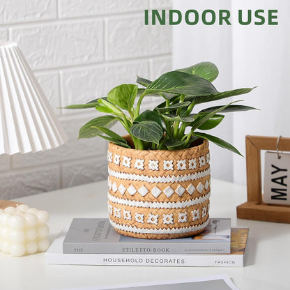 vomiceak Face Planter Pots Head, Planters for Indoor Plants - Double Cute Plant Pots for Flower & Succulent with Drainage Holes - Gift Ideas for Women (White Lady)