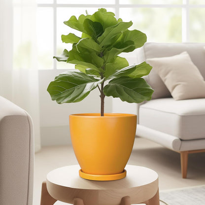 10 Inch Ceramic Planter Pot Round Plant Pot for Indoor Plants Outdoor Large Flower Pot with Drainage Hole and Saucer Blue
