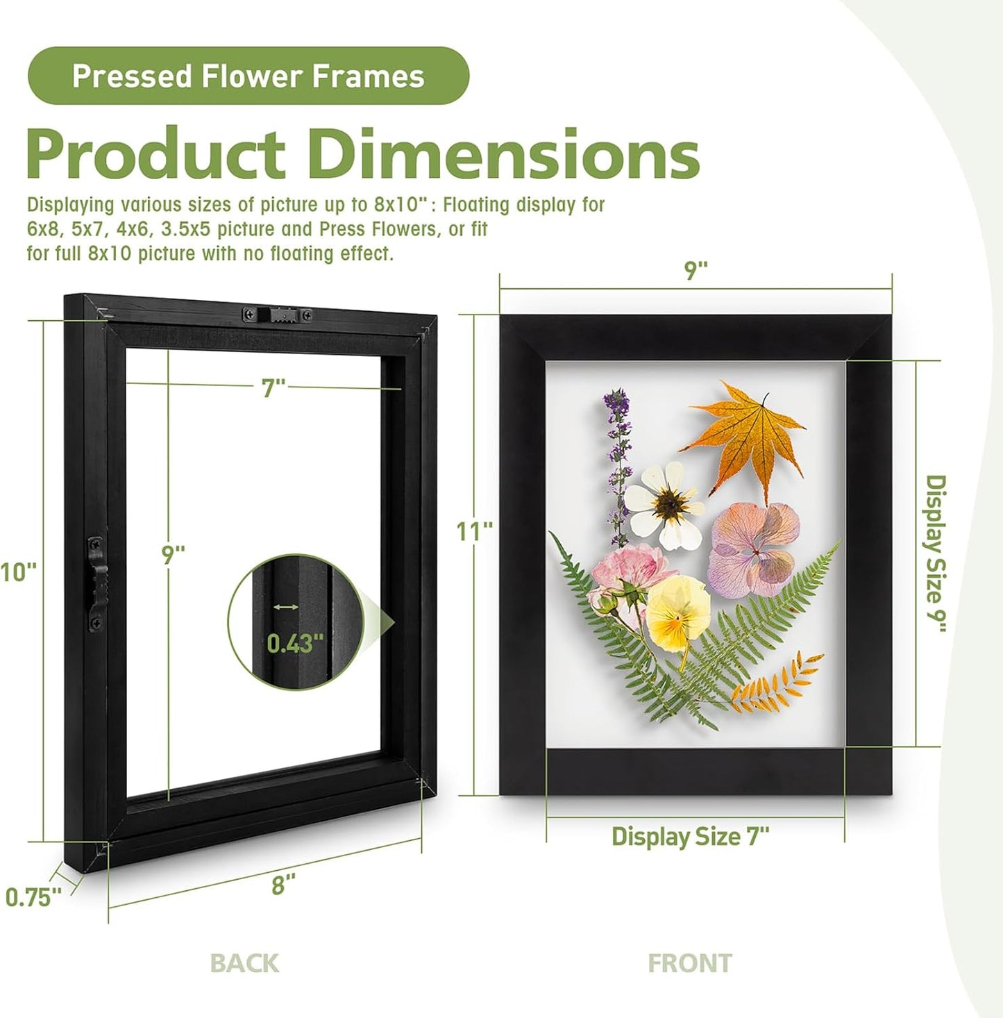 Golden State Art, 11X14 Floating Picture Frame, Black Wood Frame Display Any Size Photo Up To 11X14, Pressed Flower Frames with Hanging Hardware - Horizontal And Vertical Formats for Wall