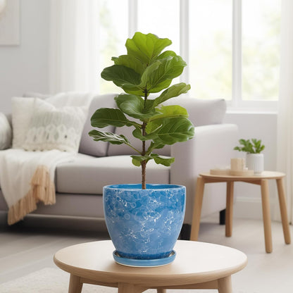 10 Inch Ceramic Planter Pot Round Plant Pot for Indoor Plants Outdoor Large Flower Pot with Drainage Hole and Saucer Blue