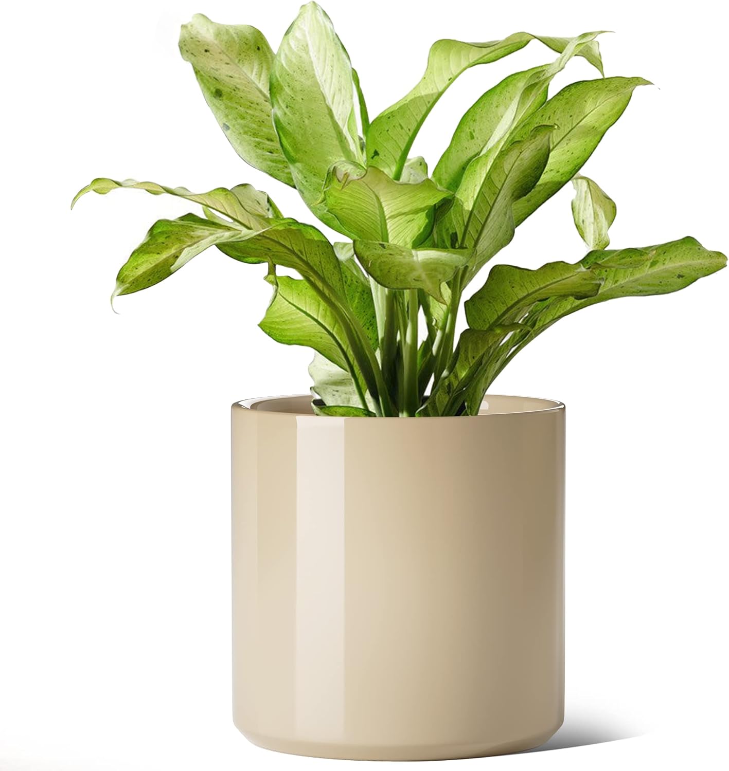 LE TAUCI 12 Inch Pot for Plants, Ceramic Planters for Indoor Plants, Mid-Century Modern Cylinder Flower Pots with Drainage Hole, Fits Fiddle Leaf Fig & Monstera, Home Decor, White