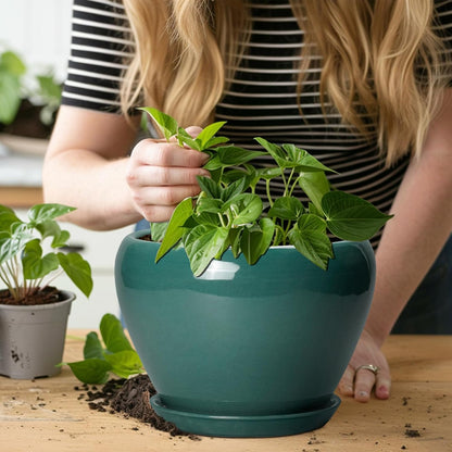 Ceramic Modern Glaze Succulent Planter Pot with Drainage Hole and Saucer 6 Inch Round Flower Plant Pot for Indoor Outdoor Herb Snake Plants