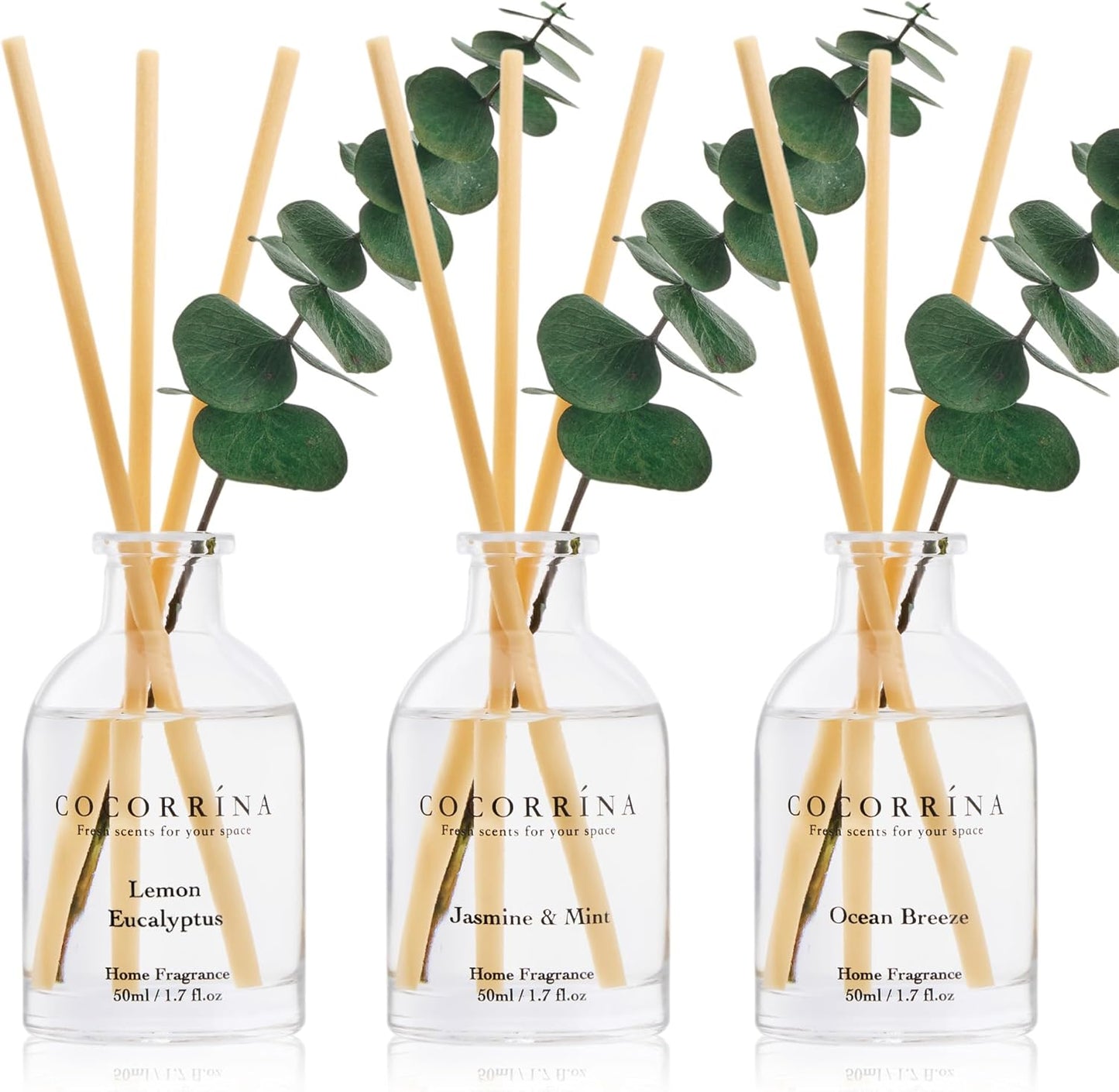 COCORRÍNA Eucalyptus Reed Diffuser Set of 3 - Lavender Eucalyptus, Black Forest, Clean Cotton Scents, 1.7 fl oz Each, Total 5.1 oz, Scented Oil Diffusers for Home & Office﻿