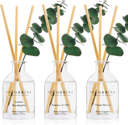COCORRÍNA Eucalyptus Reed Diffuser Set of 3 - Lavender Eucalyptus, Black Forest, Clean Cotton Scents, 1.7 fl oz Each, Total 5.1 oz, Scented Oil Diffusers for Home & Office﻿