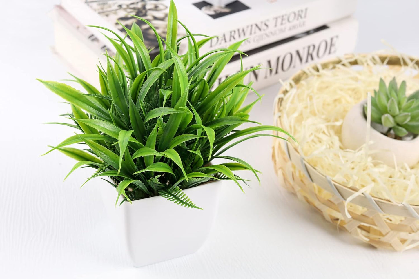 Der Rose 2 Pack Small Fake Plants Mini Artificial Potted Plants for Table Desk Home Laundry Room Bathroom Office Decor