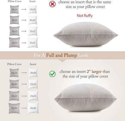 puredown® Euro Pillow Inserts 24 x 24 (Pack of 2, White), Feather Down Pillow Stuffer, White Throw Pillows for Bed, Couch, and Cushion