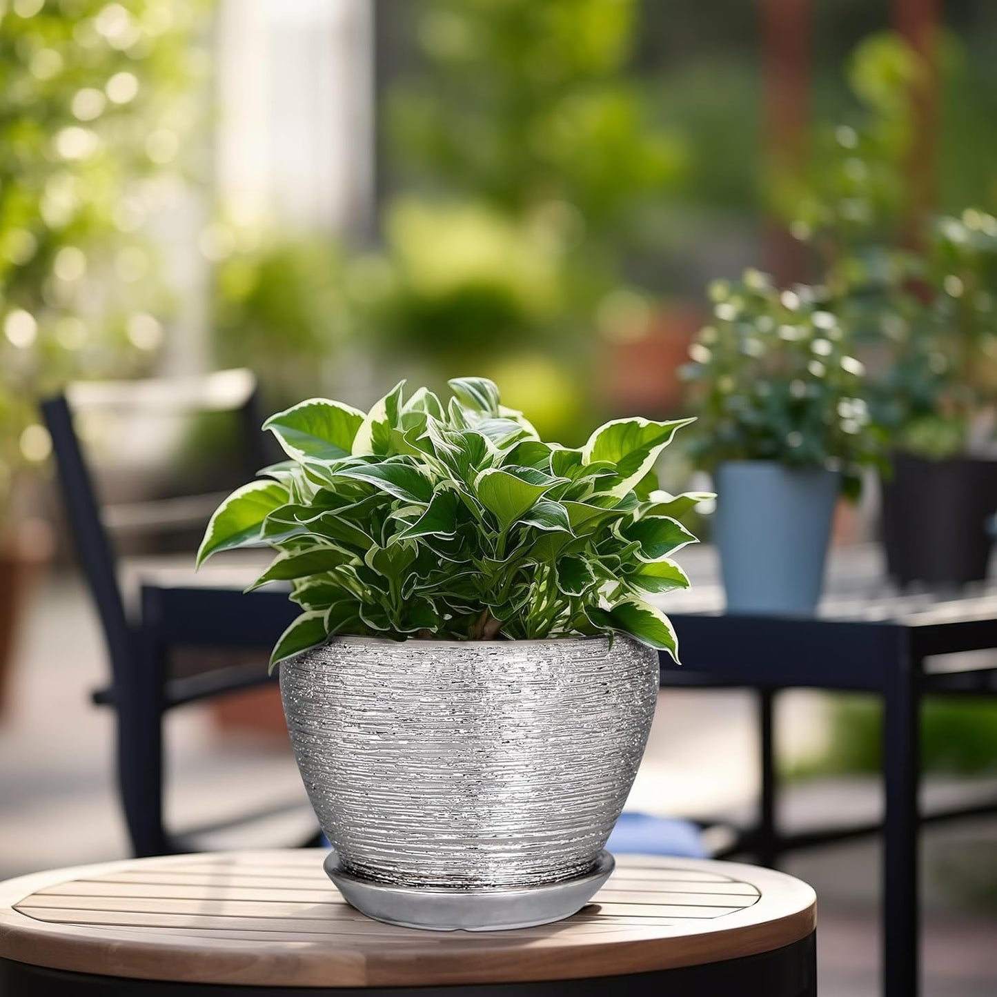Ceramic Modern Glaze Succulent Planter Pot with Drainage Hole and Saucer 6 Inch Round Flower Plant Pot for Indoor Outdoor Herb Snake Plants
