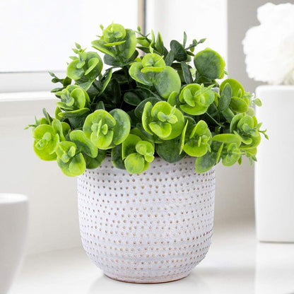 Artificial Plants Succulent Flowers in Ceramic Planter 2 Pack Small Fake Plants Potted for Home Office Desk Decor Farmhouse Living Room Bedroom Shelves Decoration