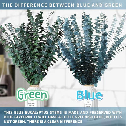 52 PCS Mix Dried Eucalyptus & Lavender Flowers Bundles for Shower, 17'' Natural Real Hanging Silver Dollar Eucalyptus Leaves Stems, Fragrance Fresh Plants Home Bathroom Decor (52pcs)