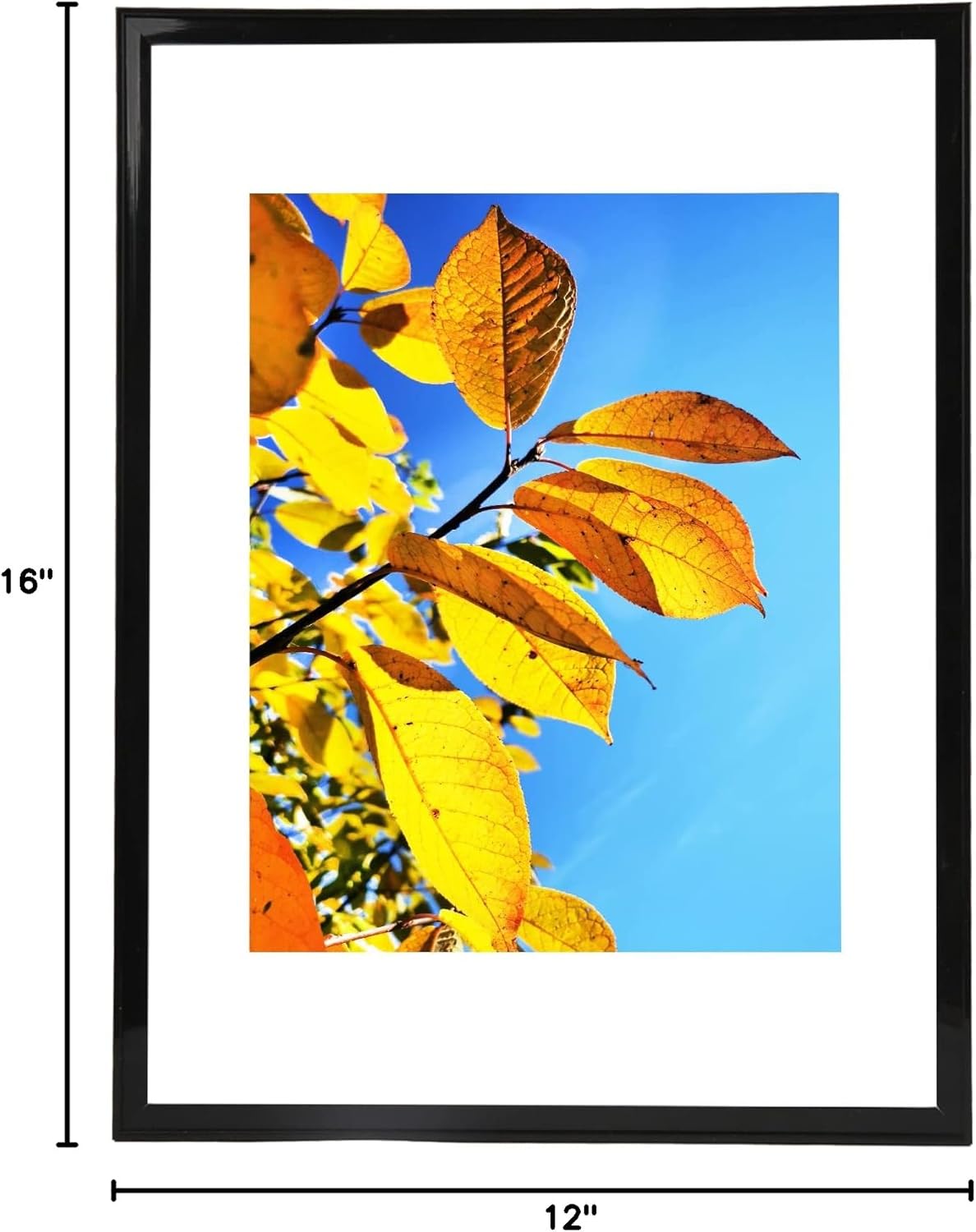 Aynoo Wood Floating Picture Frame 7x9, Table Top 8x10 7x9 6x8 Floating Frame Black Metal Modern Style Frame (PHSD),1Pack